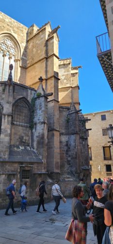 Cathedral de Barcelona