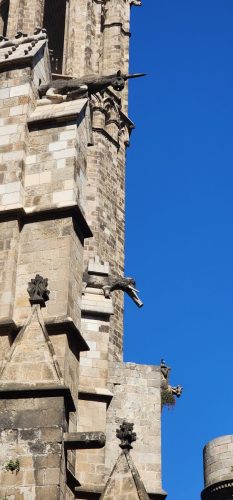Cathedral de Barcelona